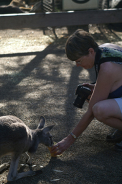 Penny feeding Kangaroo
