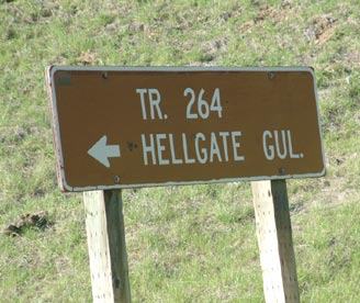 Trail 264 to Hellgate Gulch