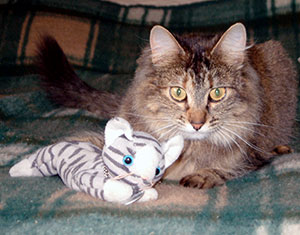 Eric the Cat Travel Bug with Squirrel