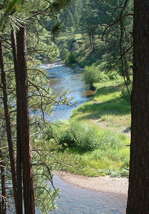 A view of the Clearwater River in Montana